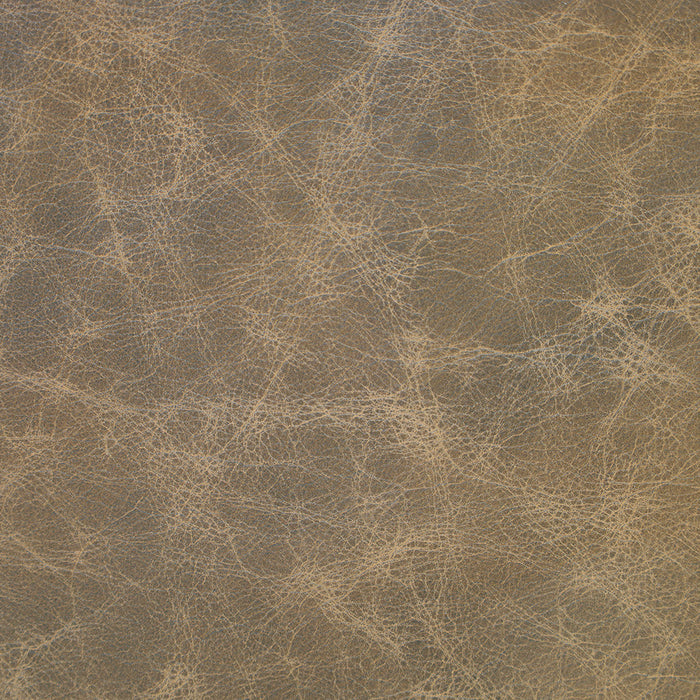 Sawbuck Sandy (L058) Purely Protected Leather