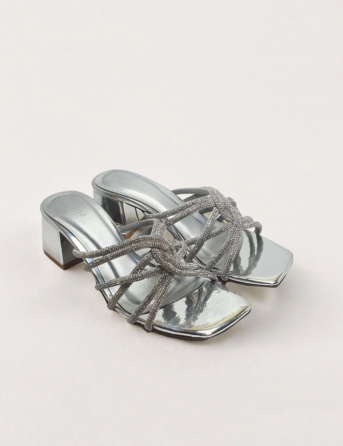 Silver Fancy Slippers