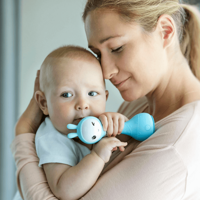 Alilo Smarty Shake and Tell Rattle