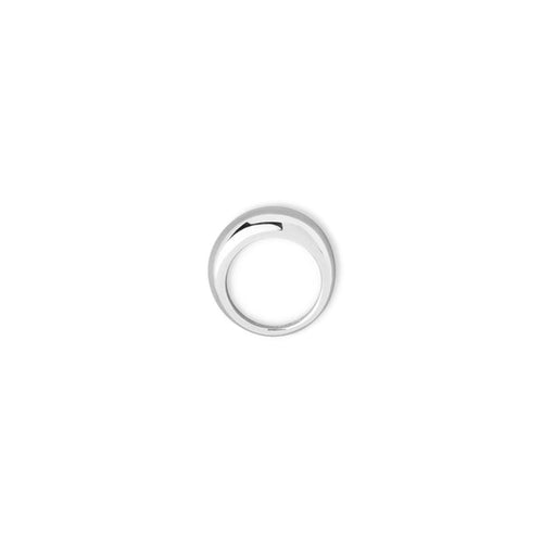 Anna Ring, Silver