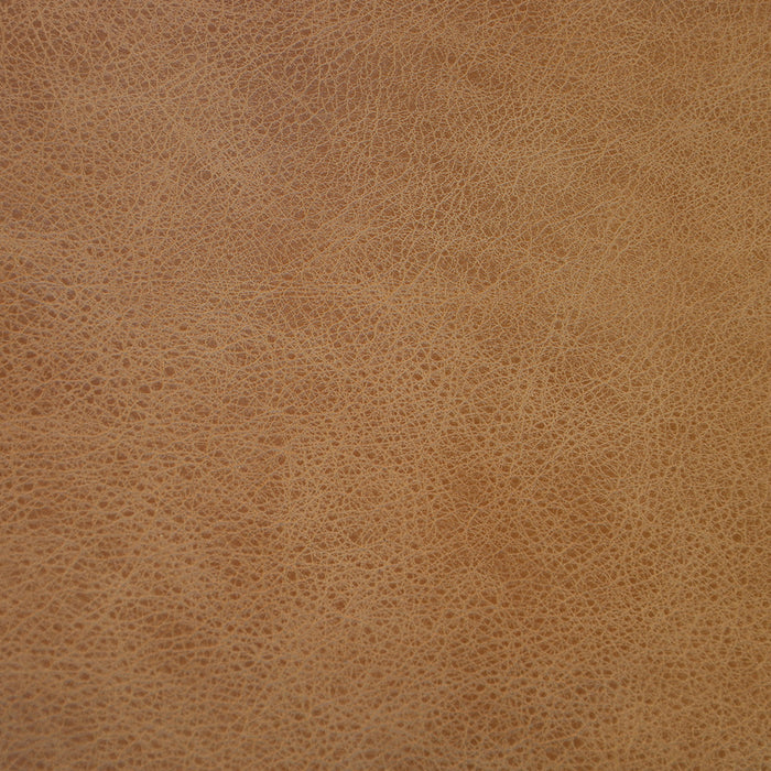 Boundaries (L065) Purely Protected Leather