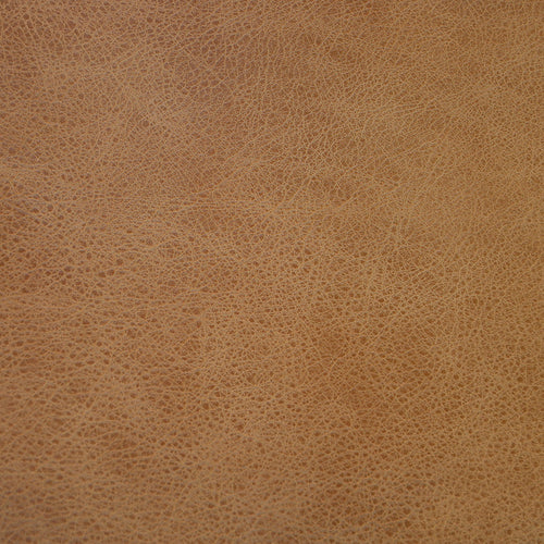 Boundaries (L065) Purely Protected Leather