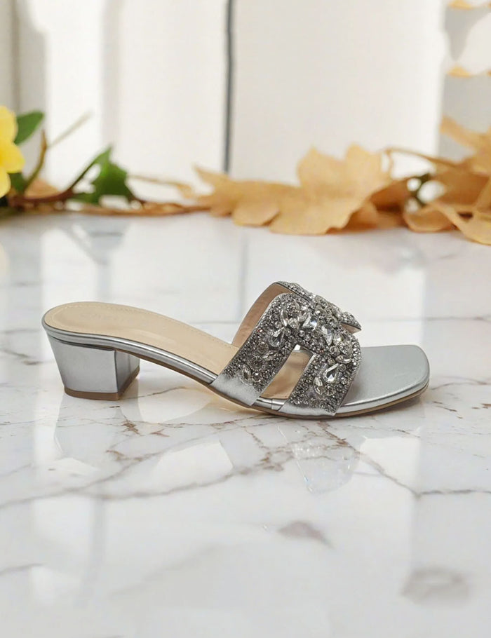 Silver Fancy Slippers