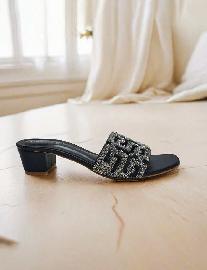 Stylish Black Women Slippers