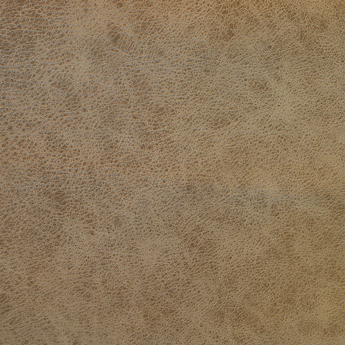 Torque Tan (L066) Purely Protected Leather